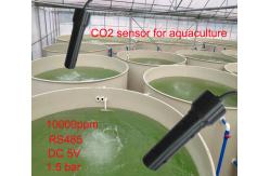China IP68 Water Quality Monitoring Sensor RS485 Dissolved CO2 Sensor 10000PPM supplier