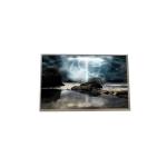 10.1 Inch 1280x800 TFT LCD Screen Display Panel B101EW05 V2 For Tablet for sale