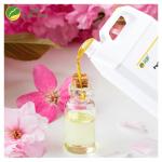 Bulk Sakura High Concentrated Perfume Oil Fragrance For Perfume Making for sale