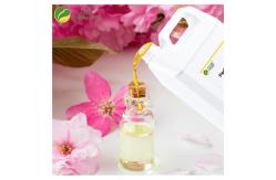 China Bulk Sakura High Concentrated Perfume Oil Fragrance For Perfume Making supplier