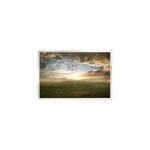 1.8 Inch 280×220 LCD DISPLAY PANEL A018AN03 V1 Camera LCD Screen for sale