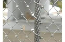 China Stainless Steel Wire Cable Net For Gibbon Enclosure Mesh  supplier