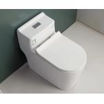 S Trap One Piece Chair Height Toilet Dual Flush Mix Pit Spacing 220mm for sale