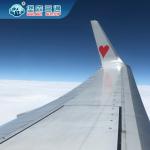 Worldwide Global Freight Deliveries , Freight Forwarder In Shenzhen China warehousing for sale