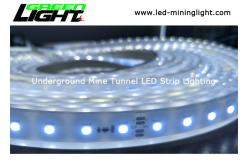 China Silicon Standard Range LED Flexible Strip Lights DC 24V Waterproof IP68 Energy Saving supplier
