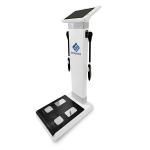 Bioimpedance 3D Body Scale Body Composition Analyzer Machine Body Weight Fat Mass Measurement for sale