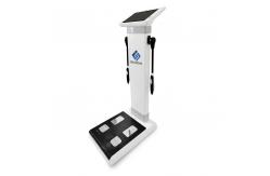 China Bioimpedance 3D Body Scale Body Composition Analyzer Machine Body Weight Fat Mass Measurement supplier