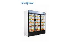 China LED Glass Door Cooler Drinks Fridge 1587L Double Layer Tempered supplier
