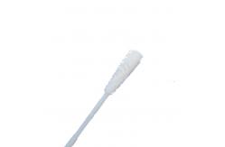 China 150mm Disposable Sampling Swab , Medical PCR Test Throat Swab supplier