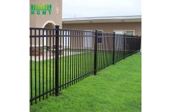 China High Class Modern Ornamental Wrought Iron Gate And Fence supplier