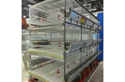 China Enriched 3-8 Tiers Baby Chick Cage For Day Old Layer Chicks supplier