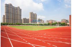 China 400 Meter Outdoor Running Track Material Environmental Friendly supplier