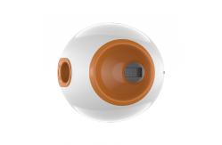 China Automatic Throwing Pet Indoor Ball Launcher Dogs Interactive Toy supplier