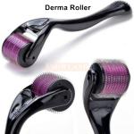 factory Direct Sale Dermaroller Manufacturer High Quality Nano Photon 540 Micro Needle Derma Roller for sale