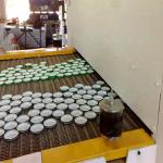 Twist Off Cap Machine with CNC Press for sale