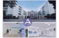 China Dental Implant Titanium Screw manufacturer