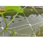 White Plastic Pea And Bean Netting , Extruded Polyethylene Mesh Netting 3 Meters Width