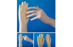 China CE Certification Disposable Exam Gloves Natural Latex Surgical Gloves supplier