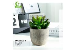 China Green Real Touch 11.5cm Artificial Succulent Plant For Desktop supplier