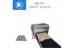 China Multiple Nozzle Egg Industrial Ink Jet Printer For Batch /  Serial Number supplier