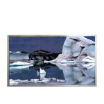 B121EW09 V6 1280*800 12.1 inch TFT-LCD screen Panel for sale
