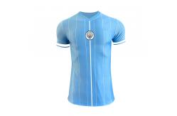 China Customized Logo Printing Player Version Jersey S-2XL Size Polyester Material supplier