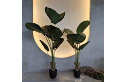 China Realistic Artificial Fan Palm Tree with Natural Green Foliage supplier