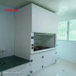 Integrated Structure Laboratory Fume Cupboard With Wet Scrubber 60dB Customized for sale