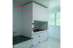 China Integrated Structure Laboratory Fume Cupboard With Wet Scrubber 60dB Customized supplier