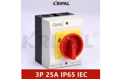 China IP65 25A 3 Phase 230-440V Electrical Isolator Switches Waterproof supplier