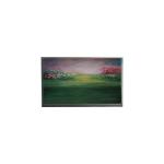 Kyocera LCD screen For 3.0 inch DMC-20261NYJ-LY-CDE-CKN LCD Module for sale