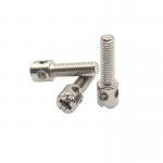 Phillips Cross Slotted Head One Hole Anti Theft Seal Screw Use In Electric Meter for sale