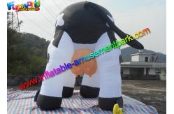 China Large Inflatable Animals , Giant Inflatable Cow Model FOR Event Advertising supplier