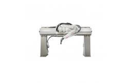 China Elevated Rail Spray Painting Robot , IRB 5500 - 25 Automatic Spray Coating Line supplier