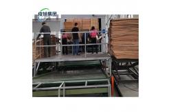 China Flexible Air Stone Cladding Veneer Sheets Panels Drying Machine For Drying supplier