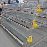 HDG Steel 3 Tires Battery Cage For Broilers Poultry Farm for sale