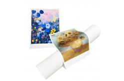 China Eco Solvent Latex UV Inkjet Printing 360gsm Matte Polycotton Canvas supplier
