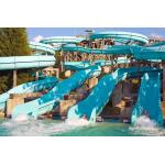 Kids Theme Outdoor Park Sports Games Water Park Design Fiberglass Slides Set Adult Play for sale