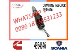 China Diesel QSX15 Engine Common Rail Fuel Injector 1521978 570016 4954646 4076963 supplier