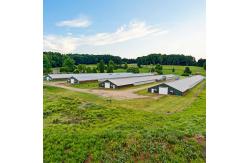 China Q235/Q345 Steel Structure Chicken House Farm Broiler Poultry Shed Construction Design with Durable Sandwich Panel Roofing supplier