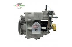 China Fuel Injection Pump 3075626 470593 4999486 for KTA19 NT855 KTA38 QSK38 Engine supplier