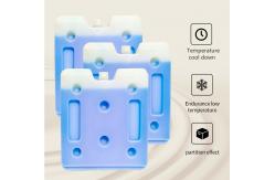 China Phase Change Material PCM Ice Packs Temperature Control Ice Bricks supplier