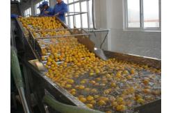 China Full Automatic Fruit Processing Equipment Surfing Bubble Washing Machine supplier