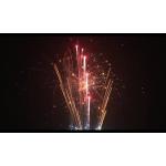 98 Shots Special Effects Cake Fireworks 2022 General Market Fireworks for sale