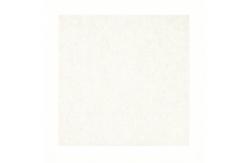 China Off-White (Warm White / Cream White)heavy duty commercial carpet squares；anti-fouling surface antibacterial performance supplier