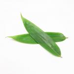 Vacuum Packaging Fresh Bamboo Leaf Sushi For Japanese Restaurants for sale