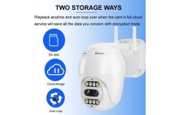 China CMOS 2.4G WiFi Network Wireless IP Camera Intelligent Gimbal Camera supplier