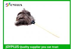 China Ostrich Feather Anti Static Duster Long Reach Duster With Wooden Handle supplier