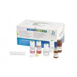 96T/ Elastase Assay Kit BRED-006 for sale