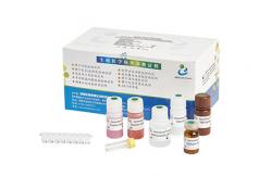 China 96T/ Elastase Assay Kit BRED-006 supplier